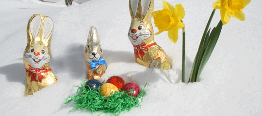 Pauschale Ostern im Tuxertal